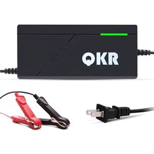 14.6V 10A LiFePO4 Battery Charger Special for 12V LiFePO4 Battery, Trickle Charger for Lithium Iron Phosphate Battery, Battery Maintainer, Built-in Safety Protections, Support Fast Charging