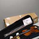 Aileen 4/4 Violin Set for Beginners, Full Size Fiddle Kit for Adults Starters and Children Teenager Students (Used needs new strings)