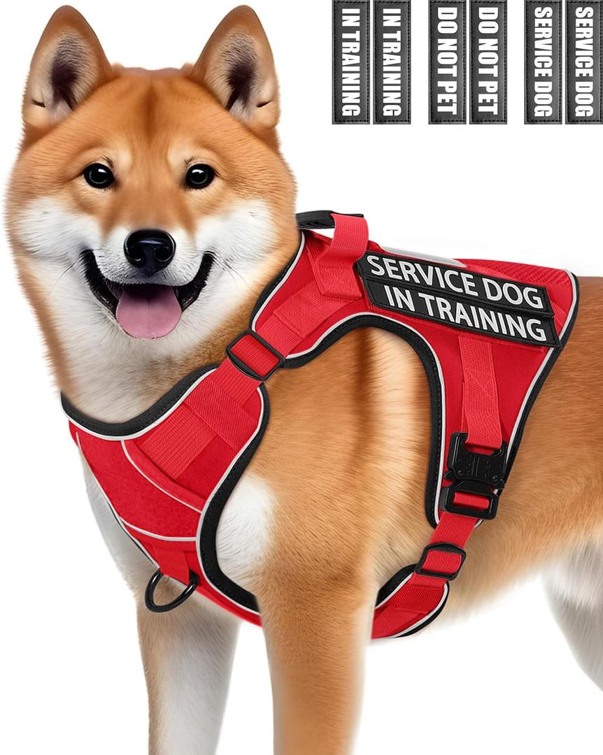 Service Dog in Training Vest, Reflective Do Not Pet Dog Harness with Handle and 6 Patches, Full Metal Buckles, for Medium Dogs Training Walking