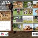 2 x Catahoula Leopard Dog Calendar 2026 Monthly Wall Calender 12 Month | American Made In The USA