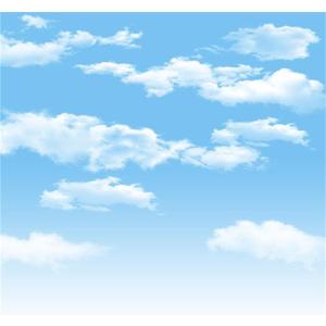 AOFOTO 8x8ft Blue Sky Backdrops White Clouds Photography Background Photo Studio Props Baby Infant Kid Newborn Toddler Girl Boy Adult Artistic Portrait Spring Party Decoration Summer Vinyl Wallpaper