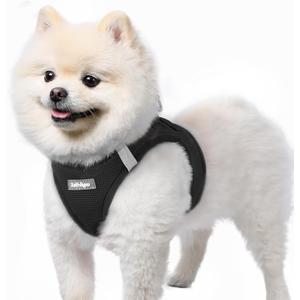 Rabbitgoo Small Dog Harness, Step-in Soft Mesh Puppy Vest with Safety Buckle, Breathable Reflective Pet Harness for Small Sized Dogs, Black S (S(Chest:15.1"-16.5"))