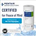 Pentair Pentek DGD-2501 Big Blue Water Filter, 10-Inch Whole House Sediment Filter Cartridge Replacement, Dual-Gradient Density Spun Polypropylene, 10" x 4.5", 1 Micron, Pack of 8