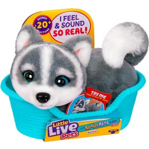 Little Live Pets My Really Real Puppy Mini Aurora The Husky, Interactive Plush Toy with Display Basket, 20+ Sounds and Reactions, Puppy Toys for Kids