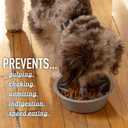 Leash Boss Slow Feeder Dog Bowls (1.5 Cup) Puzzle Dog Food Bowl with Feeder Holes, Fits into Elevated Pet Feeders, Slow Eating for Large, Medium & Small Sized Breeds - Gray