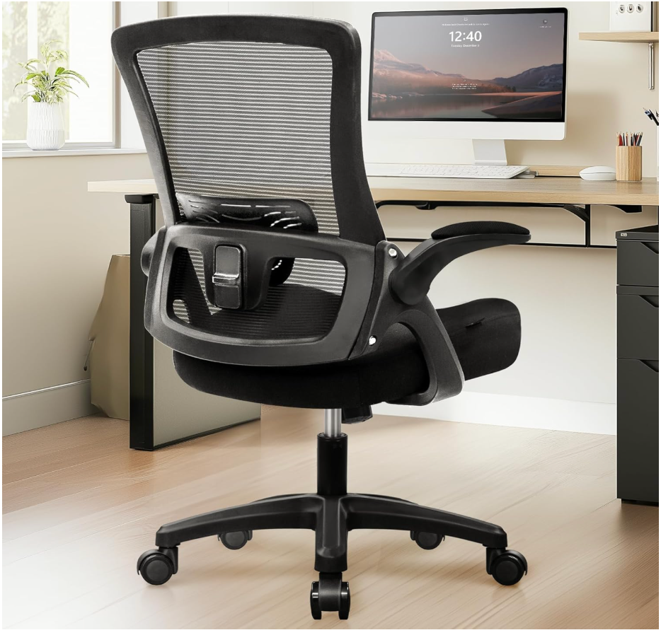 NEO CHAIR Office Desk Chair Computer Gaming Ergonomic Lumbar Back Support with Flip-up Padded Armrest Adjustable Height and Wheels for Home Vanity Bedroom Study (All Black)