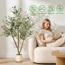 5FT Olive Trees Artificial Indoor with Lights, Realistic Faux Olive Plant