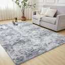 Andency 4x6 Shag Area Rug for Living Room, Tie-Dyed Light Grey Soft Fuzzy Plush Indoor Carpets for Bedroom, Non Skid Fluffy Faux Fur Rug for Room (4x6 Feet)