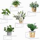 6 Pack Small Acrylic Floating Shelves for Wall, Wall Mounted Hanging Display Shelves for Plants, Funko Pop Figures, Adhesive Shelf for Bedroom, Picture Toy Clear Display Shelf