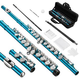 POGOLAB Flutes, Closed Hole C 16 Keys Flute Instrument, Student Flute for Beginner School Orchestra Band, with Cleaning Kit, Carry Bag, Strap, Probe Rod, Gloves (Sky Blue)