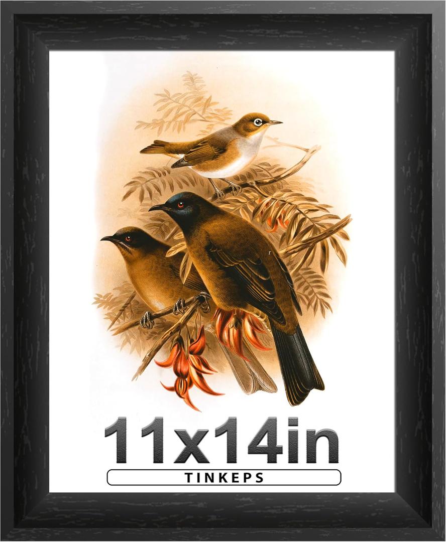 11x14 Picture Frame Black with Black Back Board, Curved Extra Wide Edges, Wooden Vintage Style Picture Frame 11x14 inches for Wall Decor.