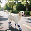 EXPAWLORER Dog Socks to Prevent Licking and Slipping, Summer Dog Shoes for Hot Pavement, Paw Protectors for Hardwood Floors Anti-Slip, Dog Booties for Small Medium Large Senior Dogs, Navy Blue XS