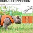 PUPTECK Soft Mesh Cat Vest Harness and Leash Set Puppy Padded Pet Harnesses Escape Proof for Cats, Dogs Rabbits Bunny, Orange, XL