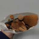 Jessup Makeup Brushes 14Pcs Makeup Brush Set Premium Synthetic Powder Foundation Contour Blush Concealer Eye Shadow Blending Liner Make Up Brush Kit Light Grey T329