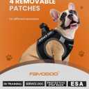 FAYOGOO Service Dog Vest for Small Breed - Lightweight Dog Harness with 6PCS Removable Patches - Puppy Harness and Leash Set for Walking,Training