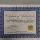 Claude Monet The Japanese Bridge Pre-Framed - Regency Gold Frame 24"X36" #MON2660-FR-650G24X36 - Framed Oil Painting