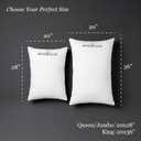 Hotel Grand Bed Pillows Queen Size Set of 2, Medium Soft Down Alternative