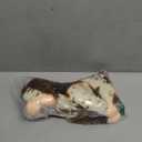 Nat and Jules Appaloosa Horse Large