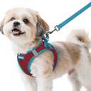 Rabbitgoo Dog Harness Small Sized and Leash Set, Step-in Breathable Pet Harness, Soft Walking Reflective Puppy Vest for Small Dogs, Red & Teal, S