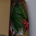 Bird of Paradise Artificial Plant Combo Palm Leaves,Faux Bird of Paradise Plant with Artificial Palm Leaves for Wedding Garden Office Home Indoor and Outdoor Decor(Red)