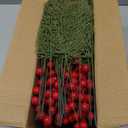 90 PCS Artificial Pine Branches Cedar Stems with Red Holly Berries - Perfect Faux Pine Greenery Stems for Christmas Tree, Wreath & Garland DIY Crafts Holiday Home Decoration, 90 Green Pine & Cedar & Red Berry