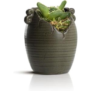 Retro Succulent Planter Ceramic Flower Pot for Indoor Outdoor, Cactus Planter Pot with Drainage Hole for Home & Office Decor, Brown (6.3*7.3*4 in)