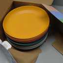 Homienly Wheat Straw Plates, 11-Pieces Unbreakable Dinner Plates - 9 Inch Alternative to Plastic Plates, Unbreakable Microwave and Dishwasher Safe Plate Set for Kitchen, Camping, Party - Multi