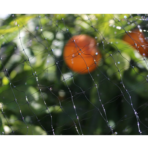 Bond Manufacturing Garden Netting, Black 7ftx21ft