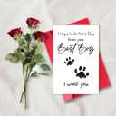 3 x TQDaiker Funny Valentines Card for Husband Wife, Best Boy Best Girl Card from Pet, Paw Card for Dog Dad Dog Mum, i Woof You