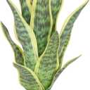 18.5" Artificial Snake Plant Potted,Fake Sansevieria Floor Plant Real Looking with White Planter for Centerpiece Home Decor (Yellow&Green)