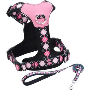 XS Dog Harness and Leash Set, No Pull Dog Harness with 2 Leash Clips, Anti-Escape Easy Walk Puppy Harness, Adjustable Dog Vest Harness for Training Walking for Small Dogs(Black, XS)