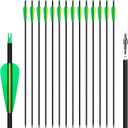14 Pack 30" Archery Carbon Arrows,Practice Hunting Arrow with Removable Tips Shaft Spine 500 Suitable for Recurve Bows