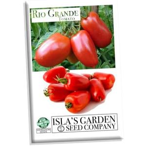 Set of 4 Pack, Rio Grande Tomato Seeds for Planting, 100+ Heirloom Seeds Per Packet, (Isla's Garden Seeds), Non GMO Seeds, Botanical Name: Lycopersicon esculentum, Great Home Garden Gift