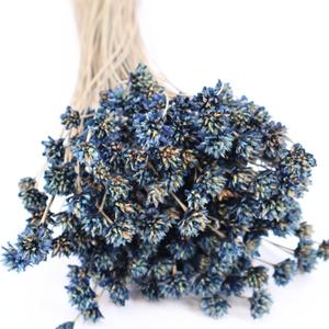 Quality Growers Natural Dried Purple Hill Flowers, 21" Long