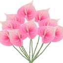 PATIKIL 13" Artificial Anthurium Lily Flowers, 10 Pack Permanent Flower Floral Arrangements Bouquet for Home Decor Bridal Wedding Festival Party, Light Pink