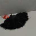Yolyoo Vintage Style Marabou Feather Hand Fan Peacock Folding Handheld Fan for Dancing Party Flapper(Black)