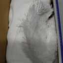 MIULEE Christmas Throw Pillow Covers Pure White Christmas Decorations Set of 2 Xmas Tree 16x16 Pillow Covers Soft Plush Faux Wool Pillowcases Holiday Festivals Winter Home Decor Sofa Couch Bed Porch, 16" x 16" (Pack of 2), Pure White, 2