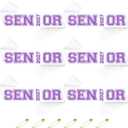 2 x 6pcs White Senior 2027 Sashes with Purple Glitter Printing Letters2027 Graduation Celebrations Sashes, Class of 2027 Sash for Graduation Party, Senior Cheer Sasesh, Class Competition Sash