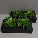 Hotop 2 Pcs Artificial Green Grass Plants in Wood Decorative Planter Pot Wooden Faux Greenery Rectangle Box Table Plant for Tabletop Centerpiece Indoor Decor(9.5 Inch,Black)