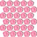 30 Pack Heavy Duty Fridge Magnets - Small Strong Refrigerator Magnets for Whiteboard, Kitchen, Office, Classroom - Decorative Cute Mini Sunflower Petal Magnets for Maps, Lockers, Crafts (Pink)