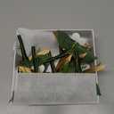 Ling's moment Boutonniere for Men, 6pcs Groom Groomsmen Boutonniere with Built-in Pins, Artificial Flowers for Wedding Decor/Prom/Homecoming, etc. Green Beige