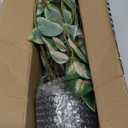 DILATATA Fake Plants Artificial Potted Plants 20 Inch Faux Peperomia Ivy Vine Plant Hanging Plant for Home Office Desk Shelf Indoor Outdoor Decor