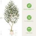 Realead 8ft Faux Olive Tree with Tall Exquisite Planter - Realistic Olive Trees Artificial Indoor with Thick Trunk and Lifelike Fruits - Large Fake Olive Tree for Home Office Decor