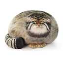 Sew Butiful Steppe Cat Plush 30cm/12inch Pallas Cat Stuffed Animal, Cute Plushies for Girls, Soft Plush Pillow, Throw Pillow Doll Decoration Doll Birthday Gift for Kids Boys Party