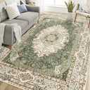 Casrage 6'x9' Area Rugs Washable,Green Rug for Living Room Bedroom Kitchen,Large Boho Vintage Bohemian Distressed Carpet Non Slip,Floral