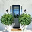 2 Pcs 48 Inch Fake Ferns, Look Real 101 Leaves Artificial Boston Ferns for Outdoors Large, Lush UV Resistant Faux Ferns for Outdoor Planter Large, Outdoor Faux Plants for Porch Patio Home Decor