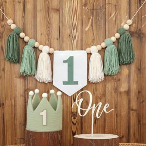 Wild One High Chair Banner For 1st Birthday Party Boy Decorations With Green Tassel Garland Crown Hat Cake Topper
