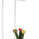 DCLRN Small End Table,c Table End Table for Sofa,Round Coffee Table is Suitable for Living Room and Bedroom.(White) (SET OF 1)