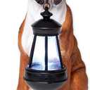 Bits and Pieces - Dog Solar Lantern Statue - Solar Powered Garden Lantern - Resin Dog Sculpture with LED Light - Outdoor Lighting and Dcor (Boxer)
