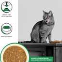 BIXBI Rawbble Shredded Chicken & Pumpkin Recipe Cans  Grain Free, Protein Rich Wet Cat Food  (2.75 Ounce Cans, Case of 24) (EXP 06/22/25)